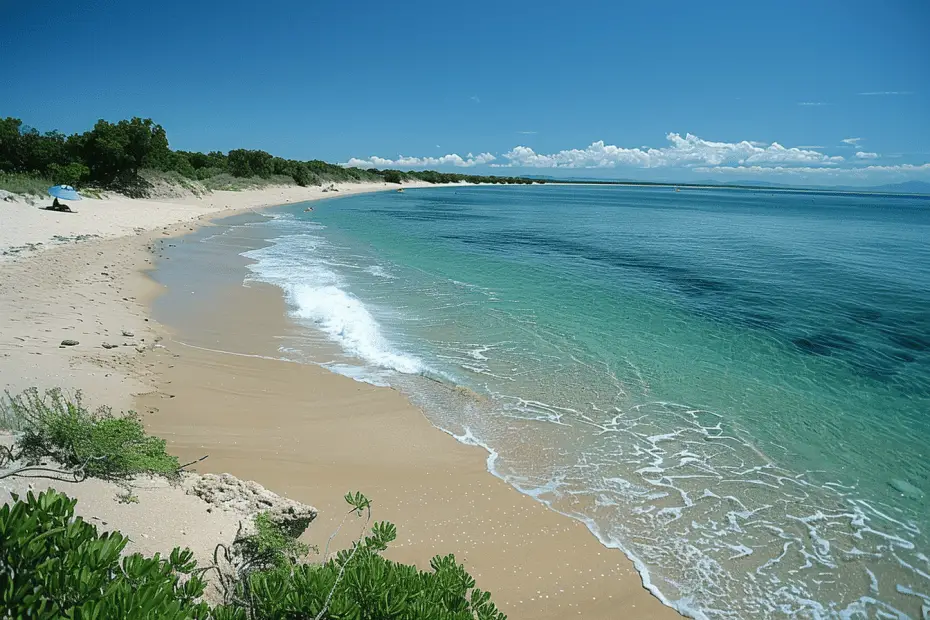 plage des saumonards
