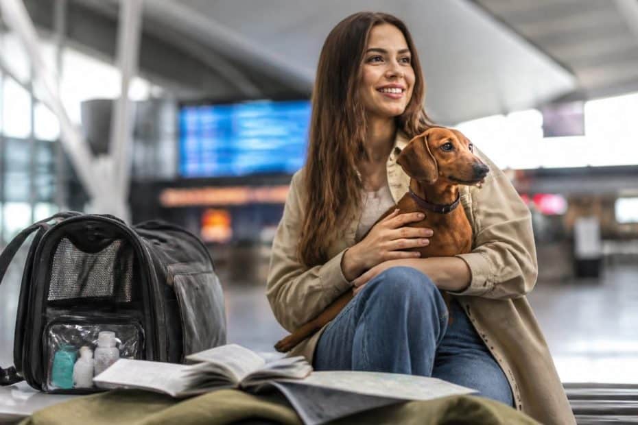 découvrez les conseils et démarches essentiels pour voyager sereinement avec votre animal grâce à anivet voyage. préparez votre déplacement en toute tranquillité.