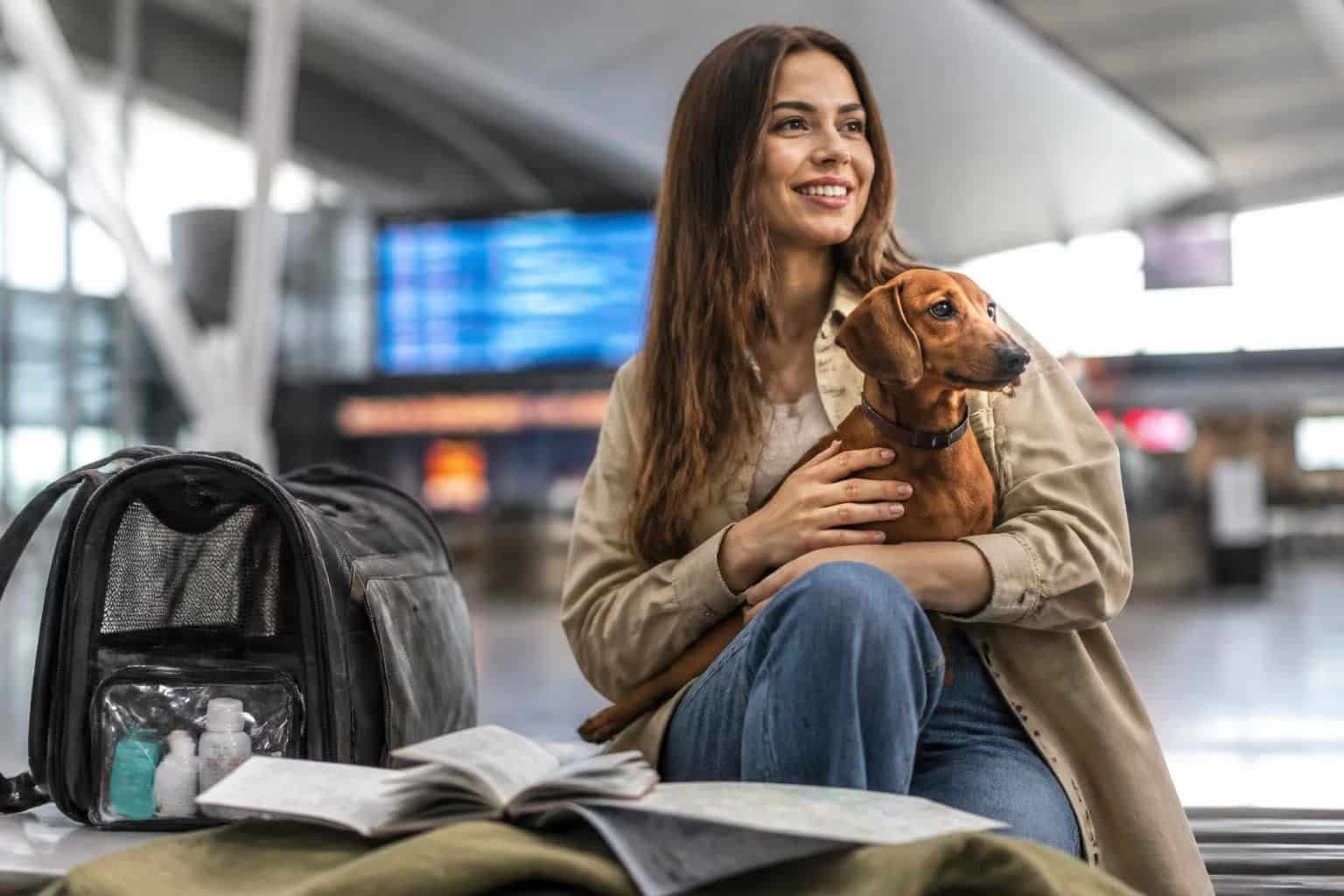 découvrez les conseils et démarches essentiels pour voyager sereinement avec votre animal grâce à anivet voyage. préparez votre déplacement en toute tranquillité.