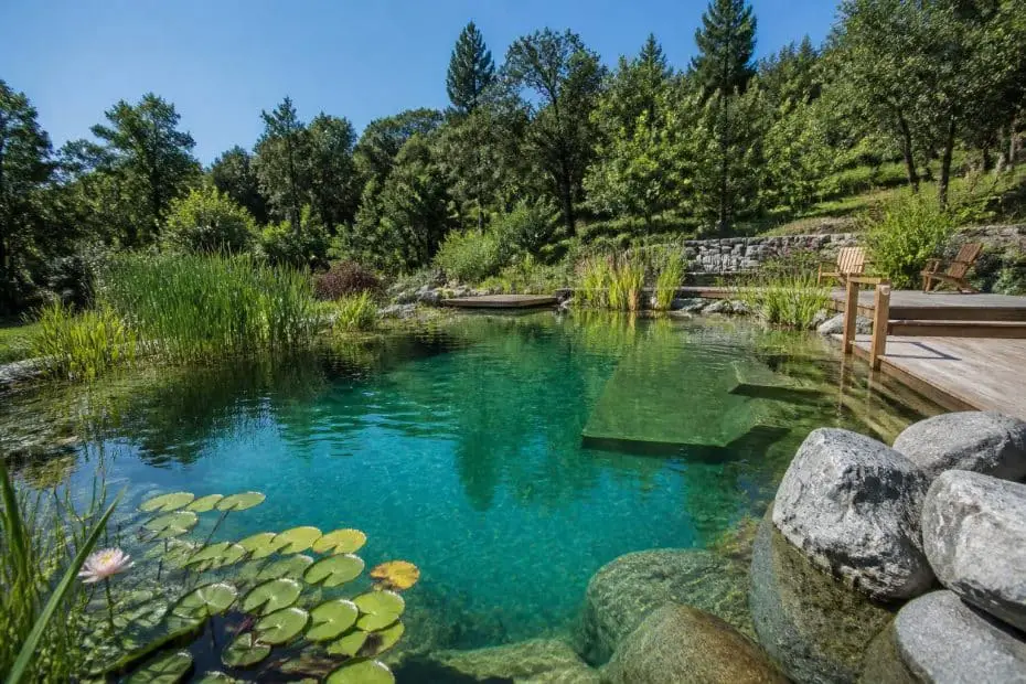 découvrez nos piscines écologiques naturalistes, conçues sans produits chimiques pour un entretien naturel et respectueux de l'environnement.